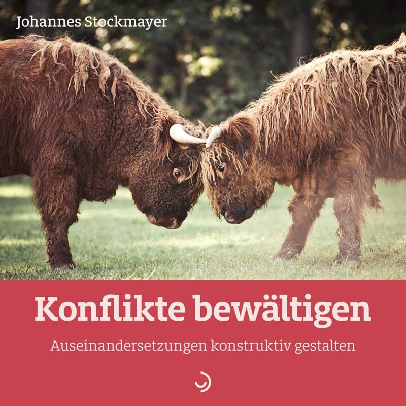 Konflikte bewältigen: Auseinandersetzungen konstruktiv gestalten (Quadro) Lifestyle