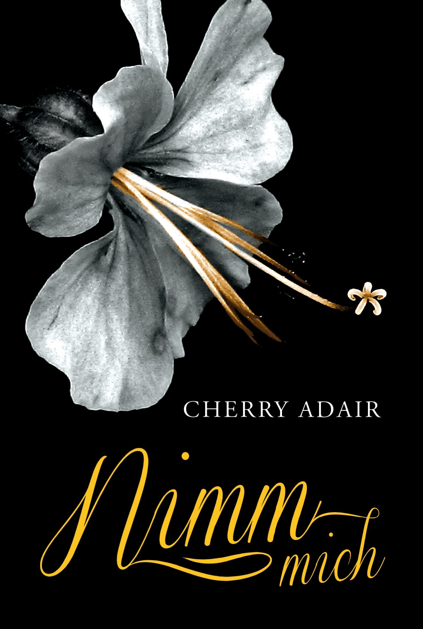 Nimm mich!: Erotischer Roman Contemporary literature