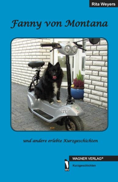 Fanny von Montana: und andere Kurzgeschichten Contemporary literature