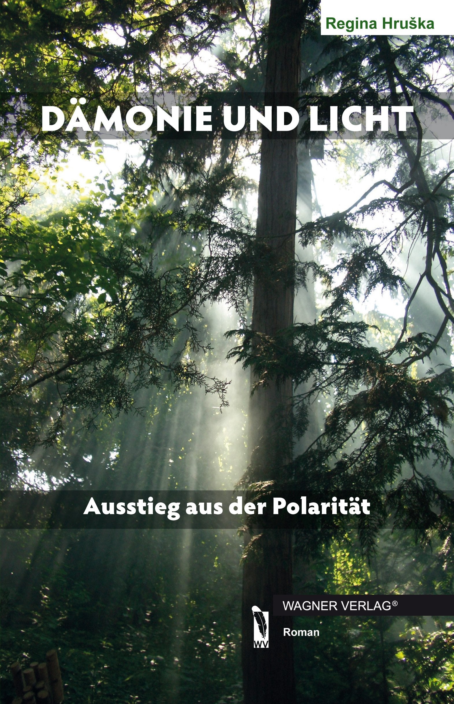DÄMONIE UND LICHT: Ausstieg aus der Polarität book