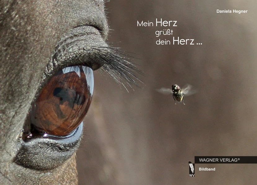 Mein Herz grüßt dein Herz Children's books