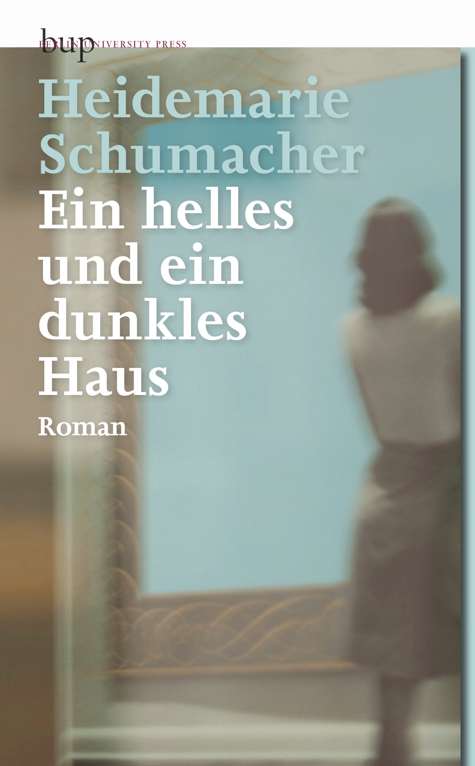 Ein helles und ein dunkles Haus: Roman Contemporary literature