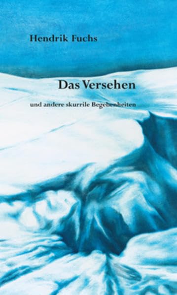 Das Versehen und andere skurrile Begebenheiten: mit Collagen von Sebastian Burger Contemporary literature
