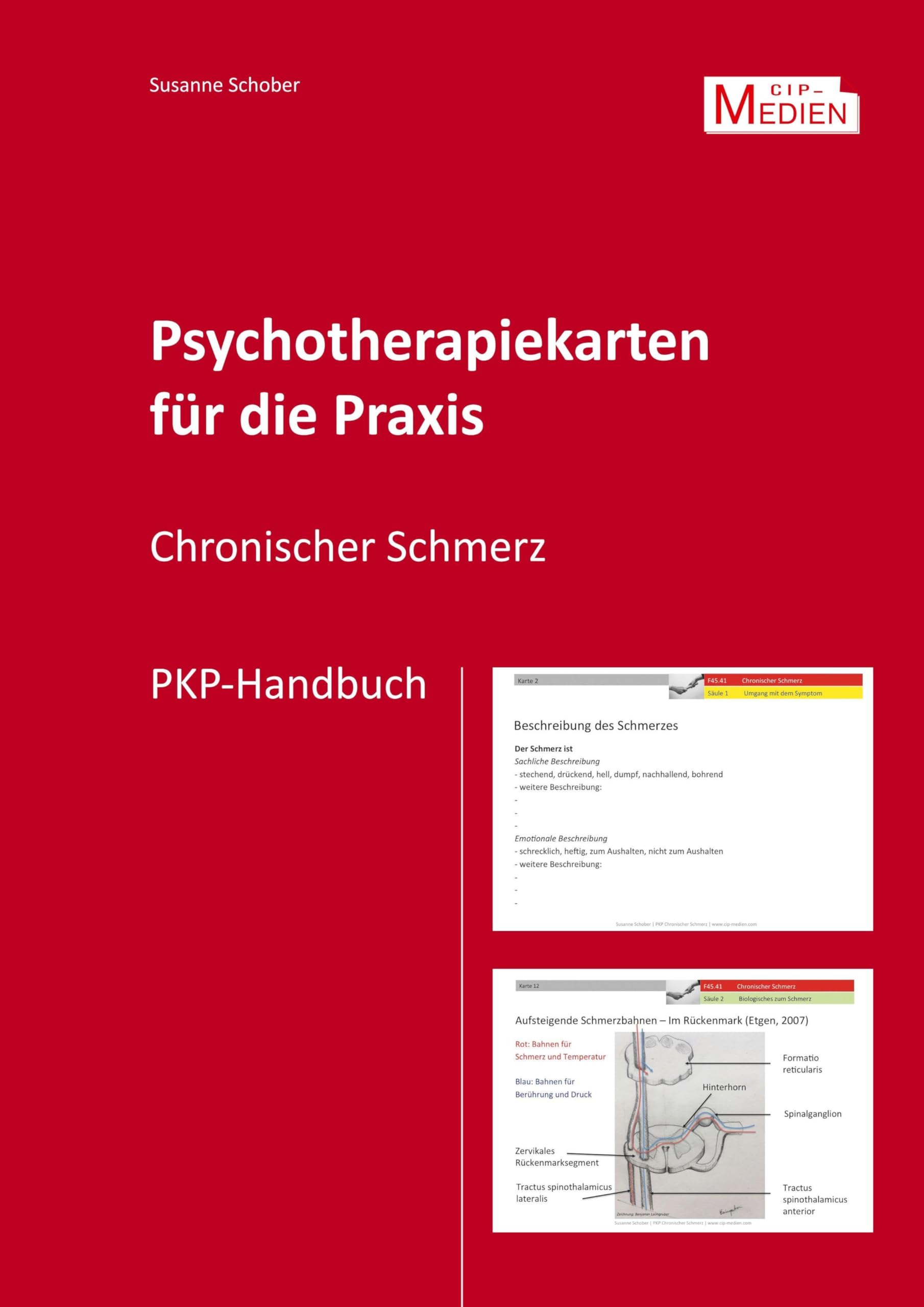 Psychotherapiekarten für die Praxis: Chronischer Schmerz Medicine