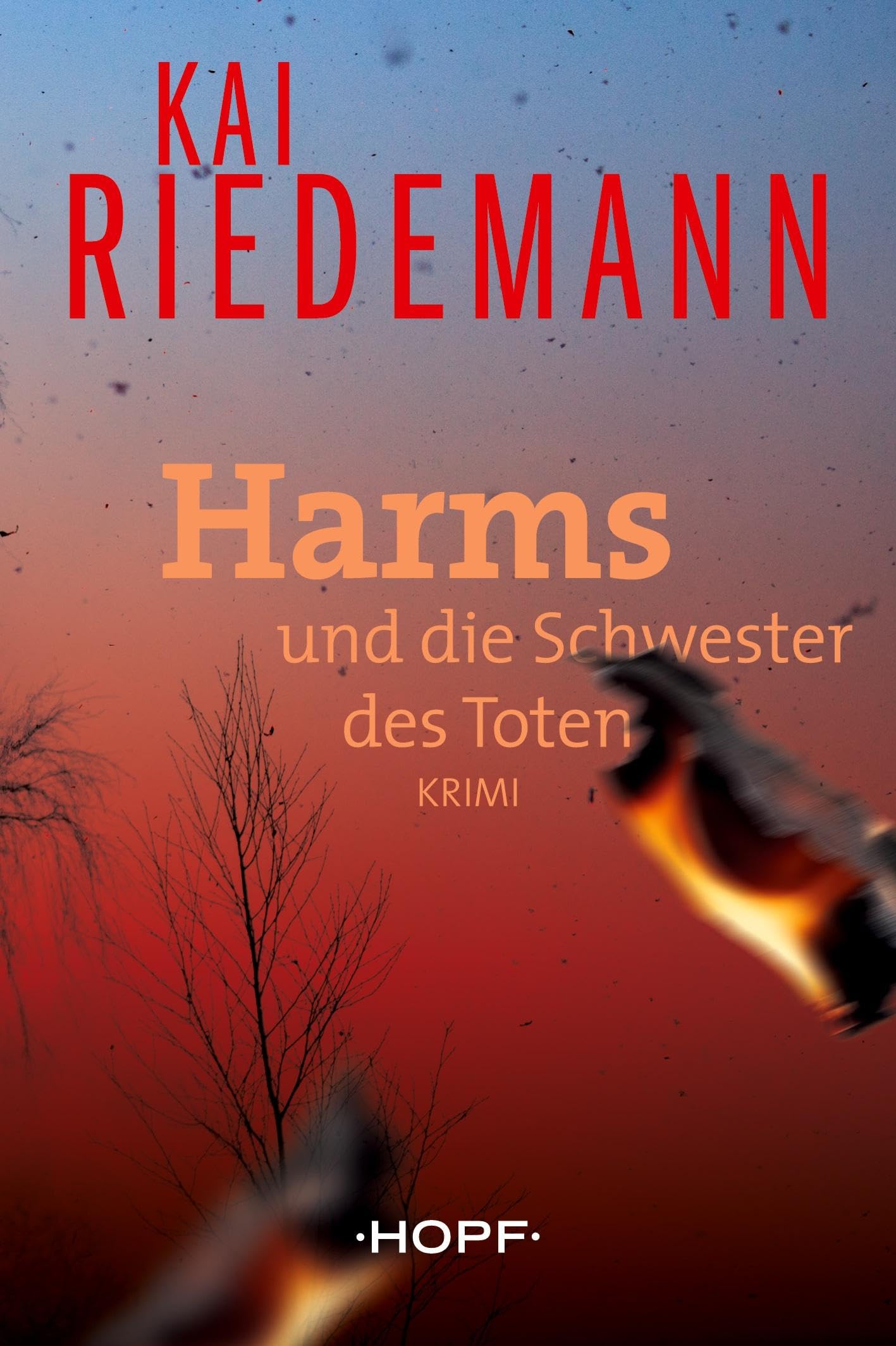 Harms und die Schwester des Toten Contemporary literature