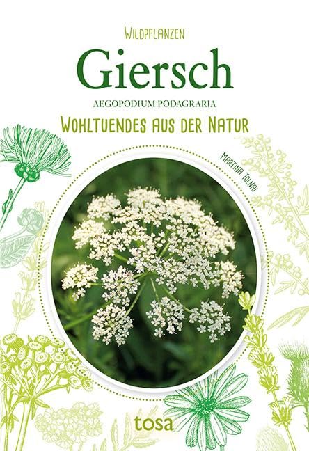 Product Image: Giersch