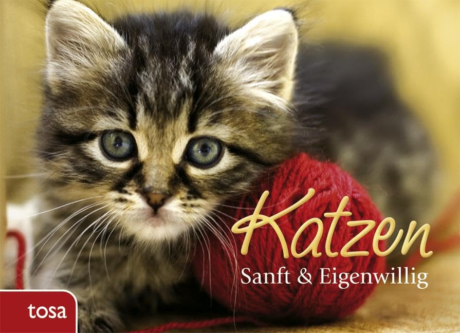 Katzen Pets