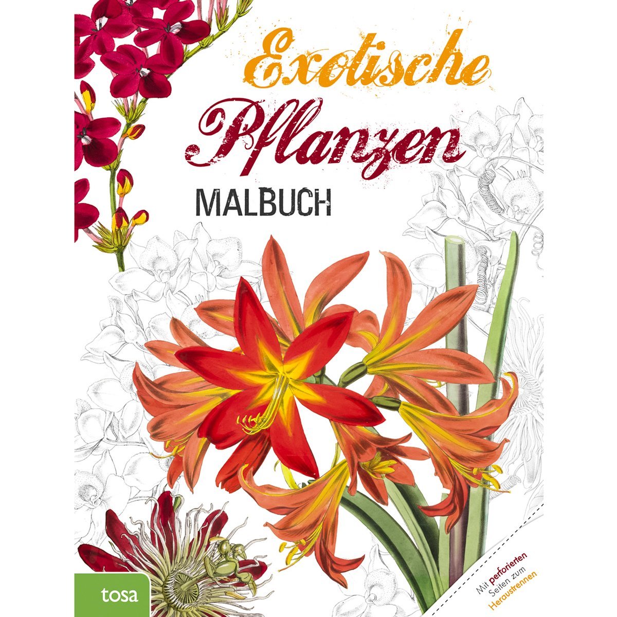 Exotische Pflanzen Malbuch für Erwachsene Medicine