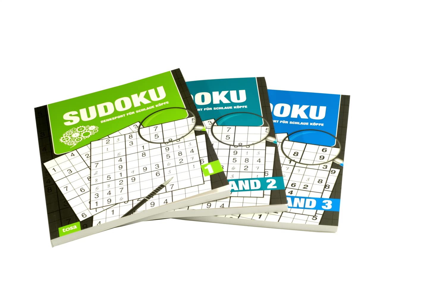 Sudoku - Band 2-4 Großdruck - 3er Pack: Denksport für schlaue Köpfe Leisure & Fun