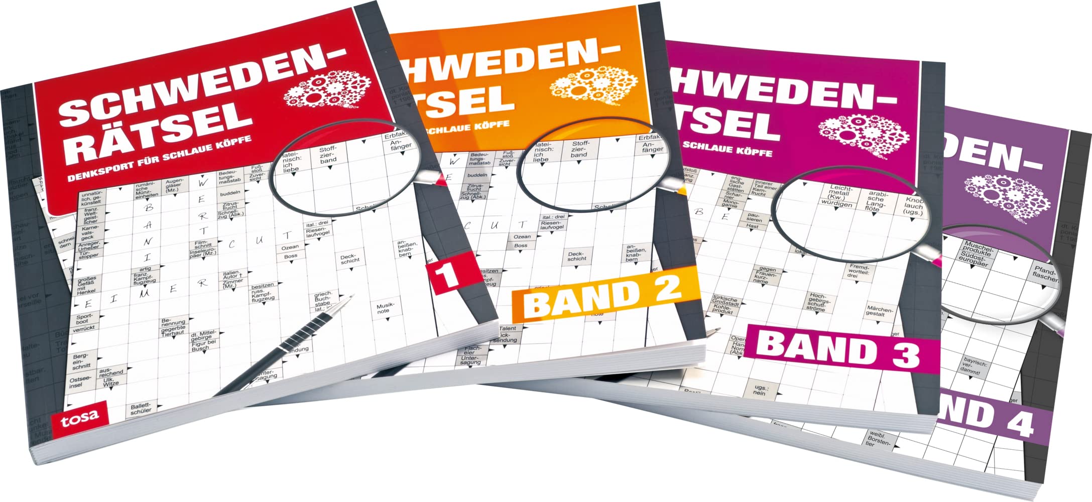Schweden - Rätsel - Band 1-4 Großdruck - 4er Pack: Denksport für schlaue Köpfe Leisure & Fun