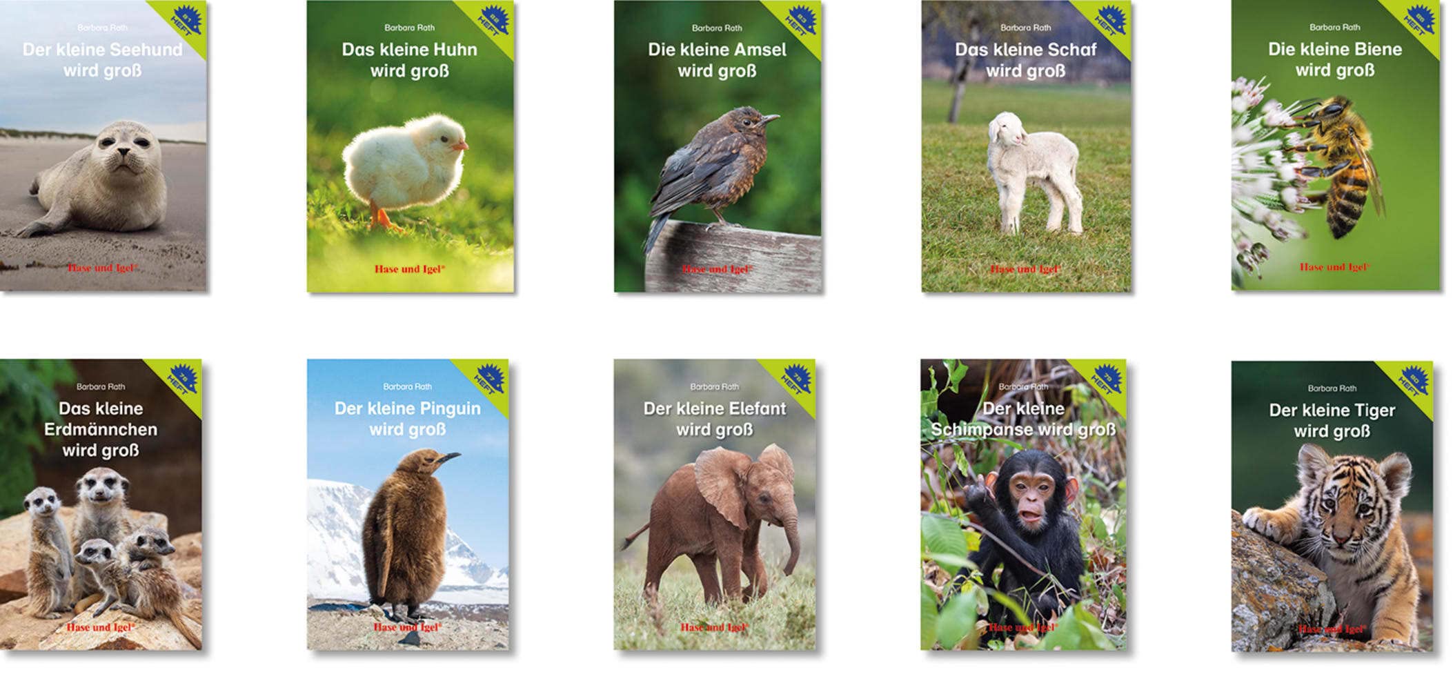 Foto-Tiergeschichten II: 10 Igelhefte im Paket / Serienpreis Children's books