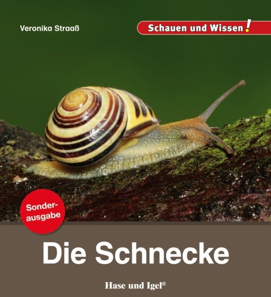 Die Schnecke / Sonderausgabe Business & Technology