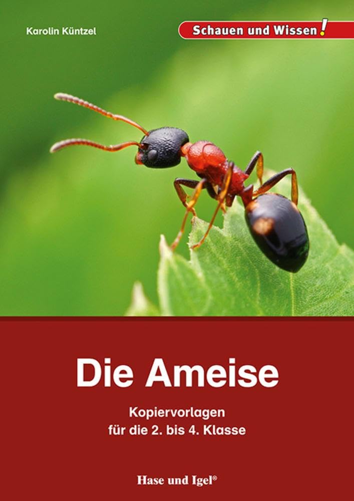 Die Ameise – Kopiervorlagen für die 2. bis 4. Klasse Learning & Reference
