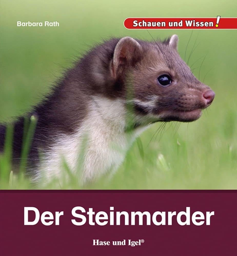 Der Steinmarder: Schauen und Wissen! Business & Technology