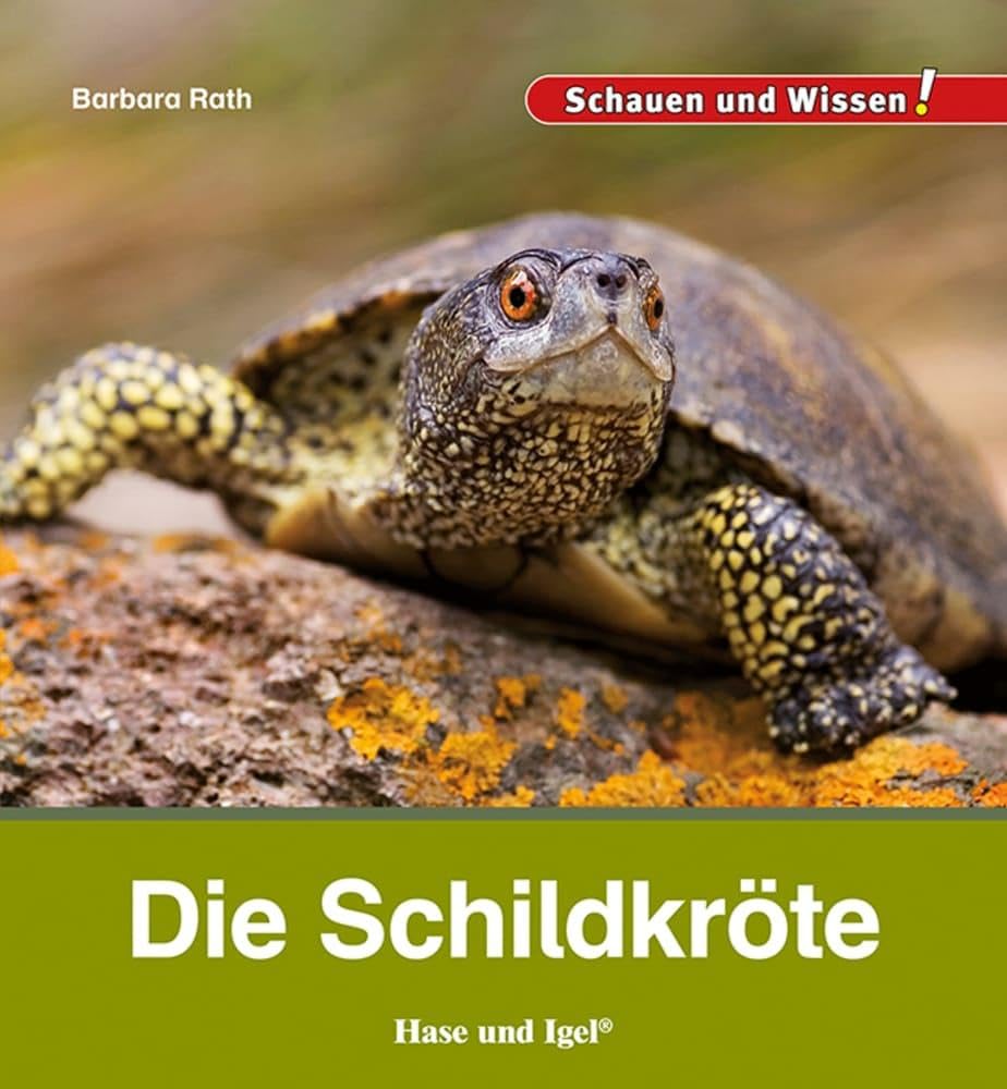 Die Schildkröte Business & Technology