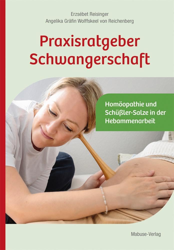 Praxisratgeber Schwangerschaft book