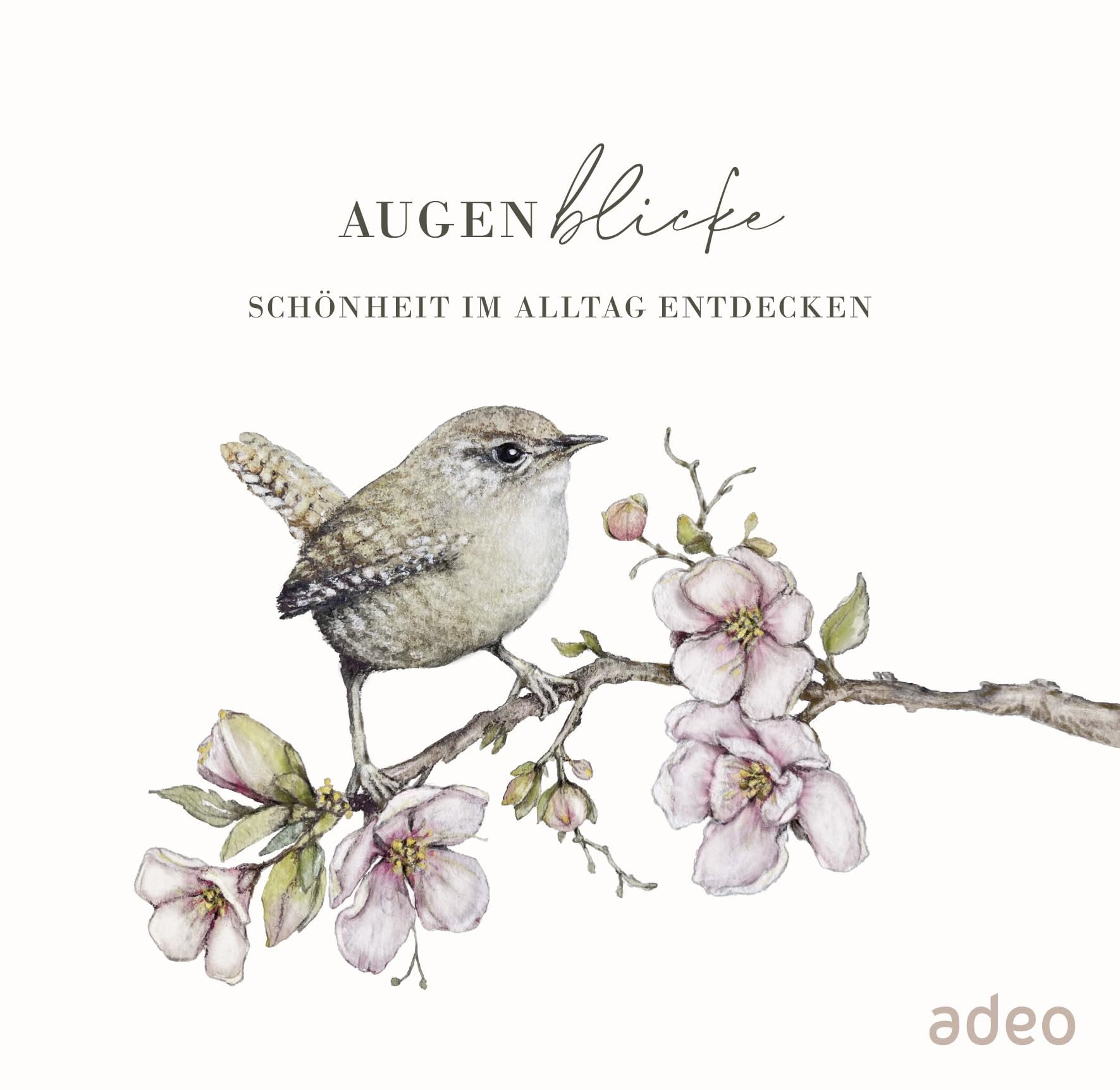AugenBlicke - Aufstellbuch Photography