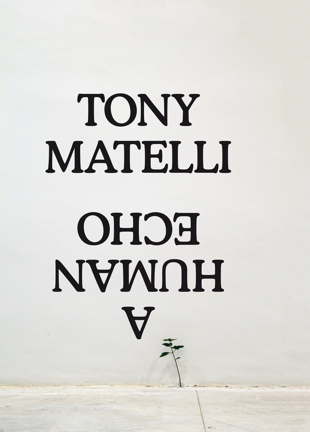 Tony Matelli. A Human Echo Film, Art & Culture