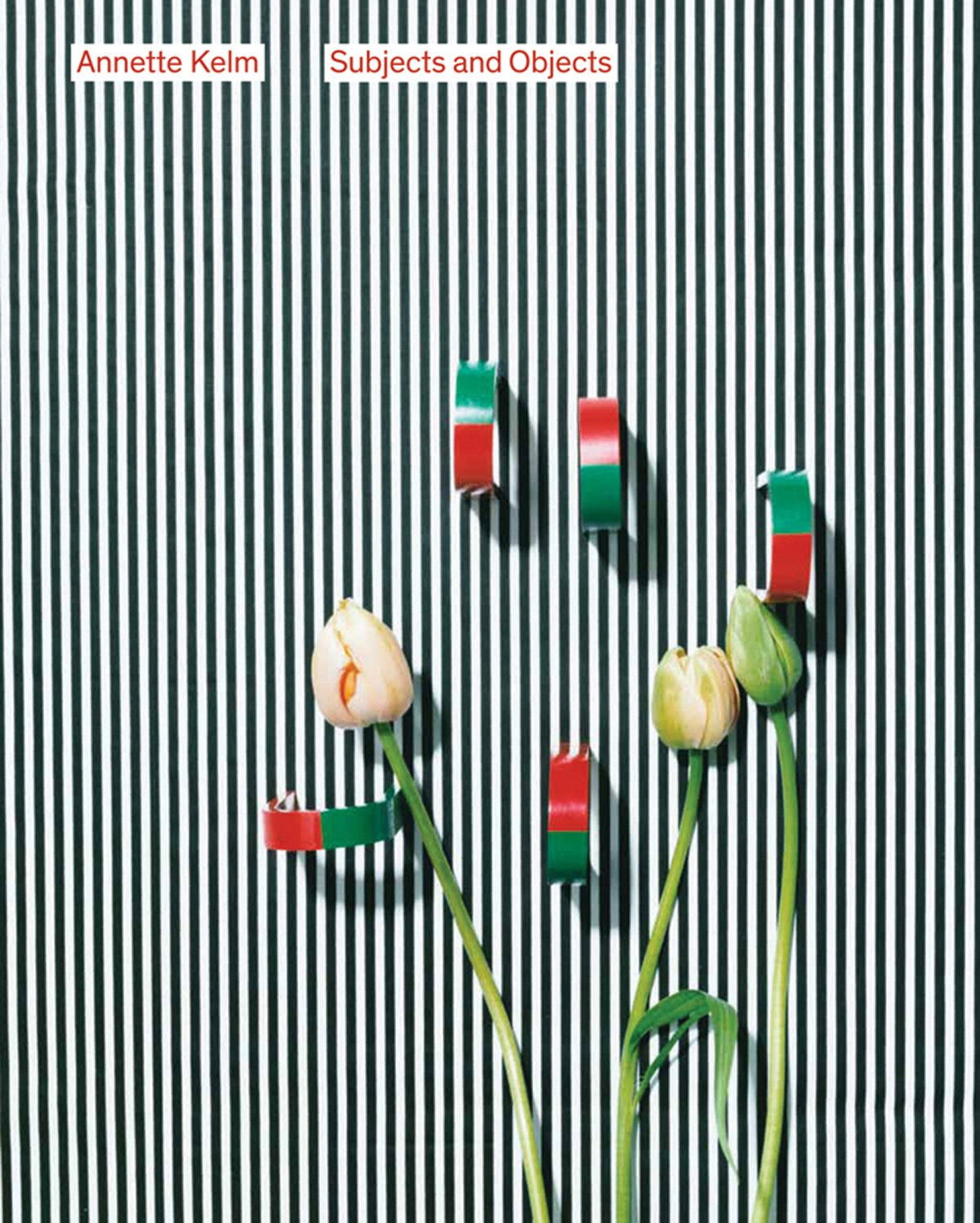Annette Kelm. Subjects and Objects: Presentation House Gallery, Canada / Kölnischer Kunstverein Travel