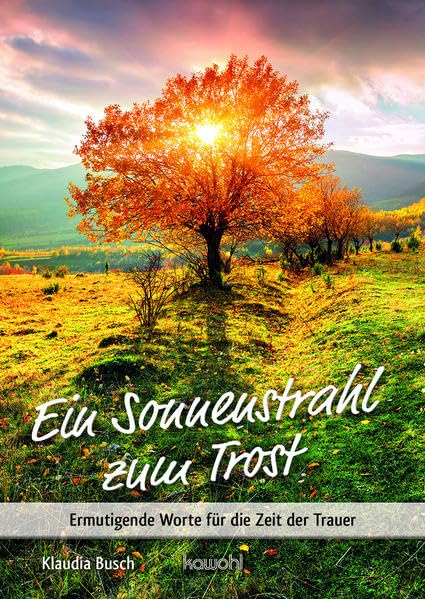 Ein Sonnenstrahl zum Trost: Ermutigende Worte für die Zeit der Trauer (Von Herz zu Herz) Death & Mourning