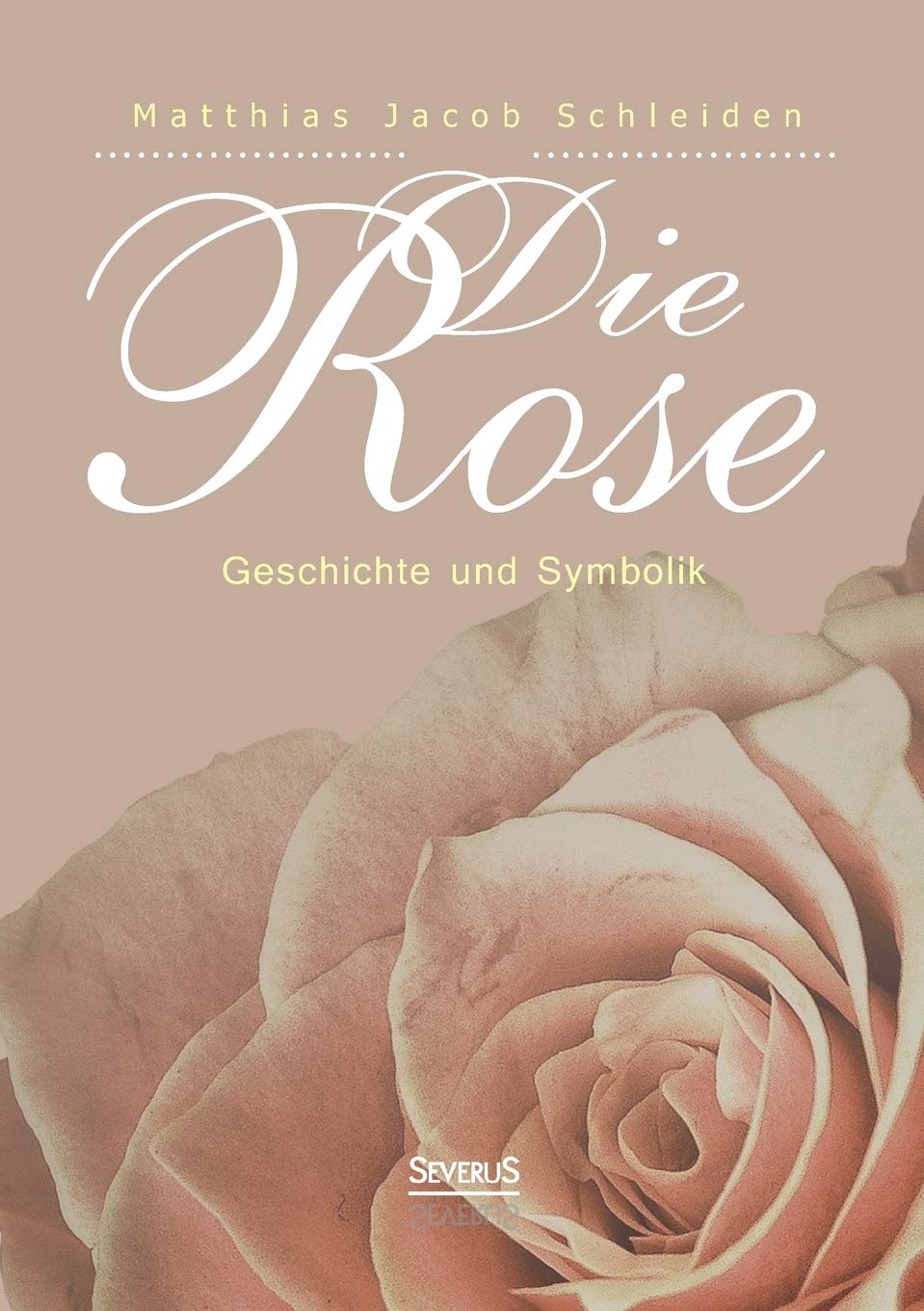 Die Rose: Geschichte und Symbolik Social Sciences