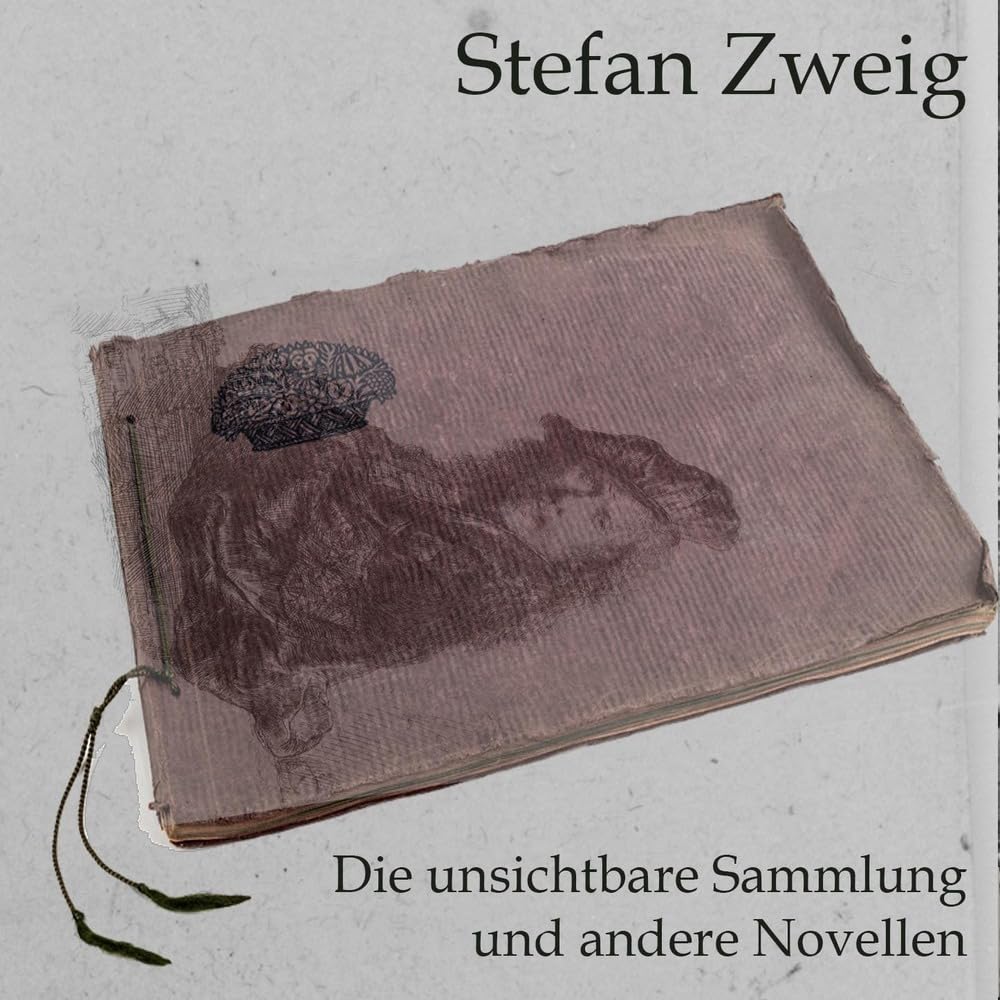 Die unsichtbare Sammlung: und andere Novellen Contemporary literature