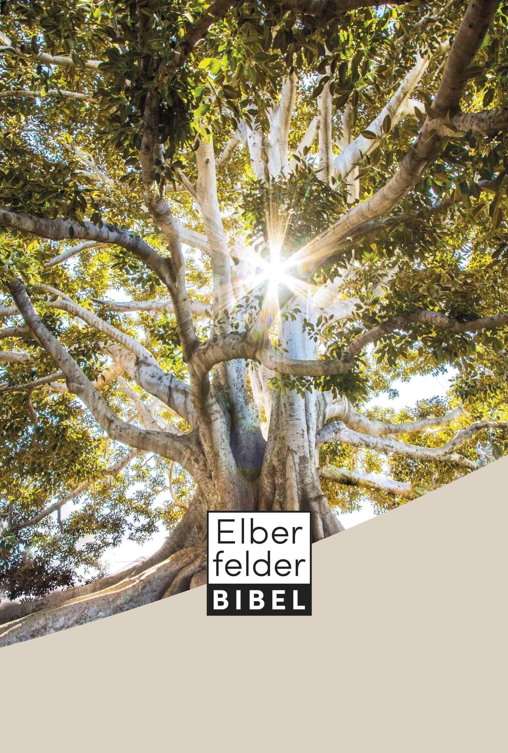 Elberfelder Bibel Standardausgabe Second hand books on Religion & Esotericism