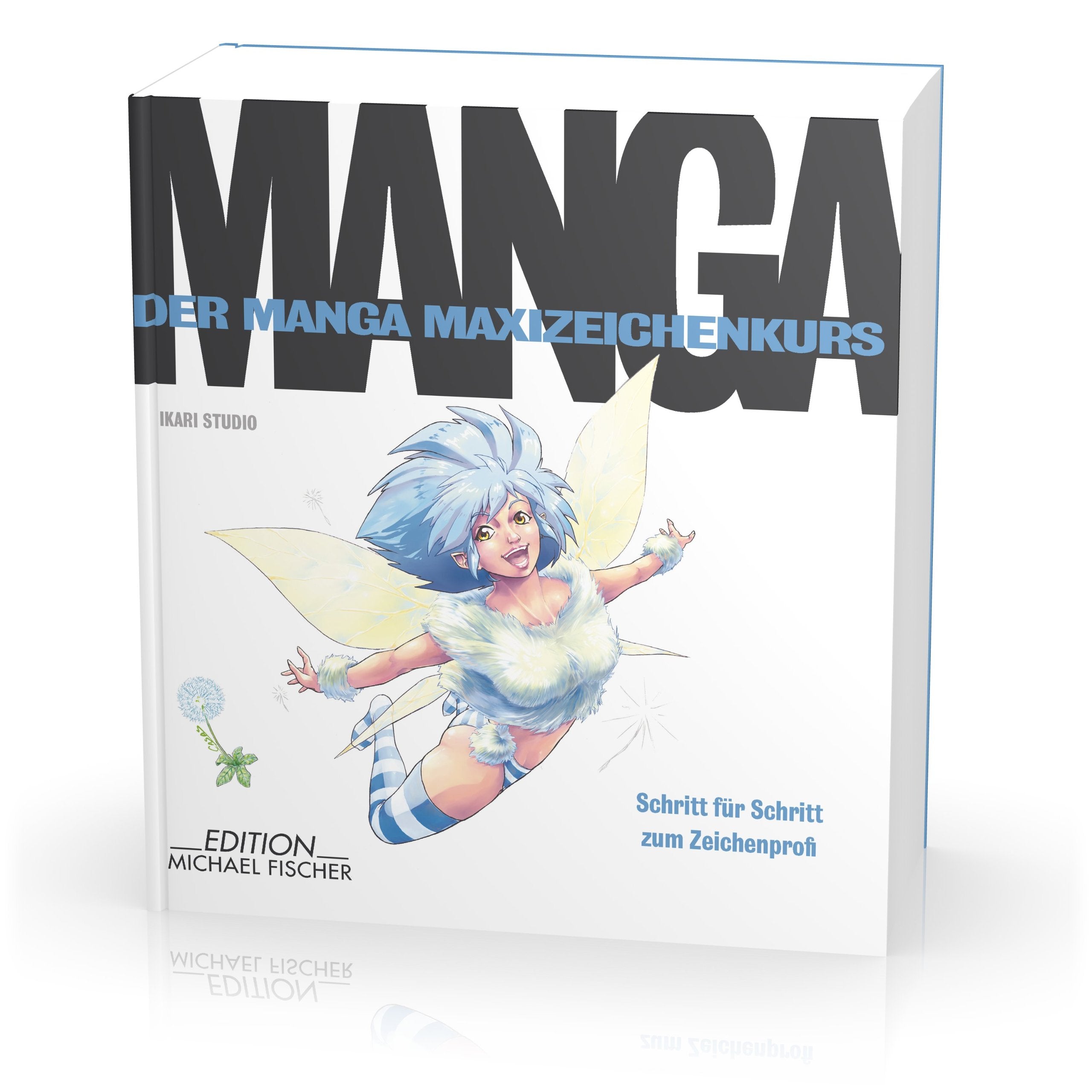 Der Manga-Zeichenkurs: Schritt für Schritt zum Zeichenprofi (Der Manga Maxizeichenkurs) Manga