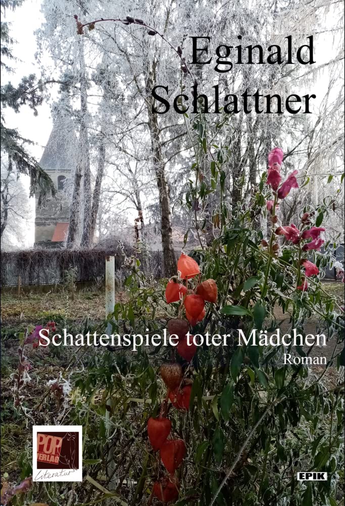 Schattenspiele toter Mädchen: Roman (Epik) Contemporary literature