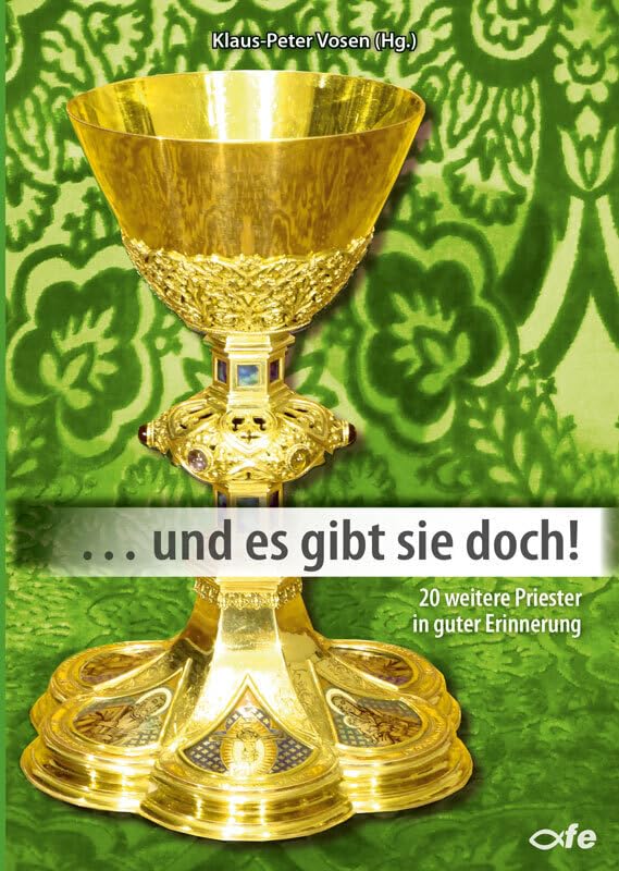 ... und es gibt sie doch!: 20 weitere Priester in guter Erinnerung (... Und es gibt sie doch: Priester in guter Erinnerung) Religion & Esotericism