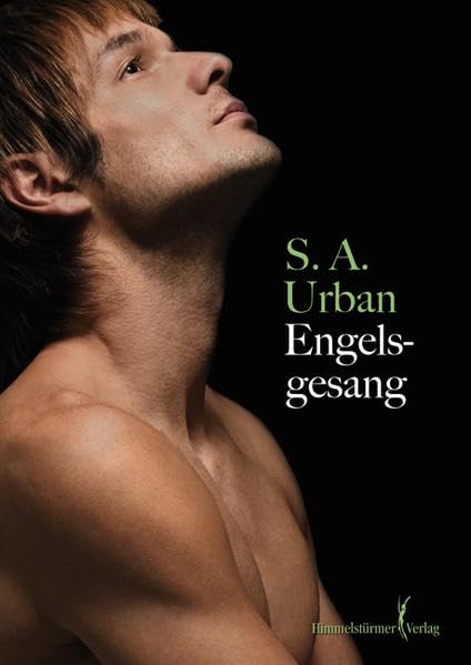 Engelsgesang Contemporary literature Books