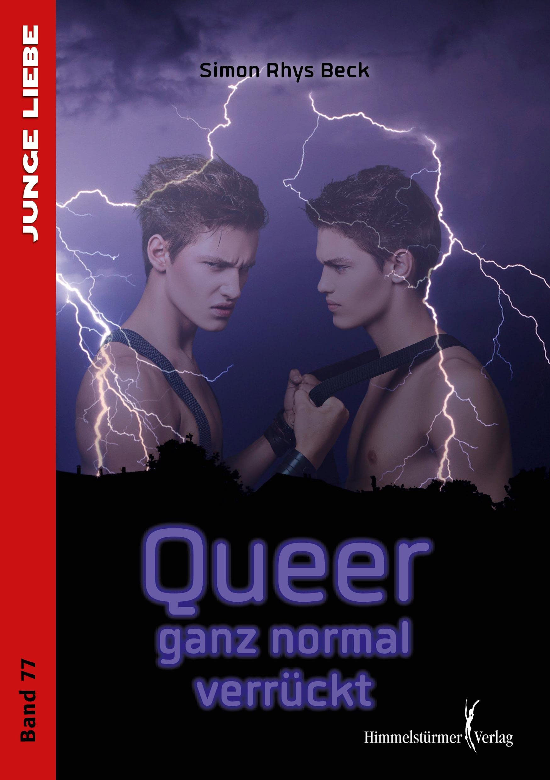 Queer - ganz normal verrückt (Junge Liebe) Contemporary literature