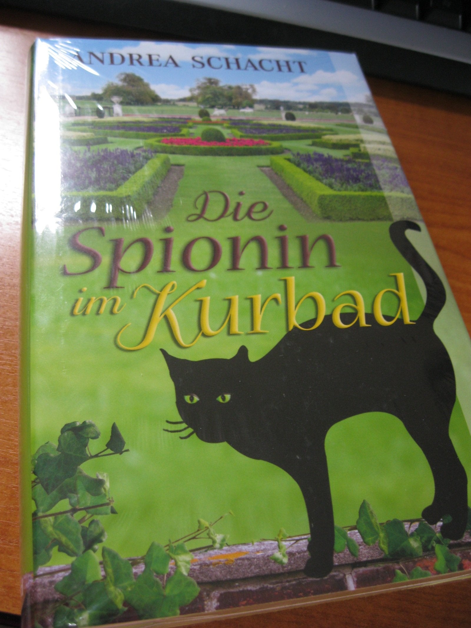 Die Spionin im Kurbad Historical Fiction