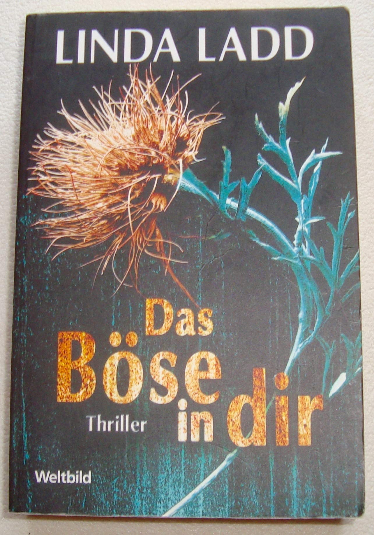 Das Böse in dir Books