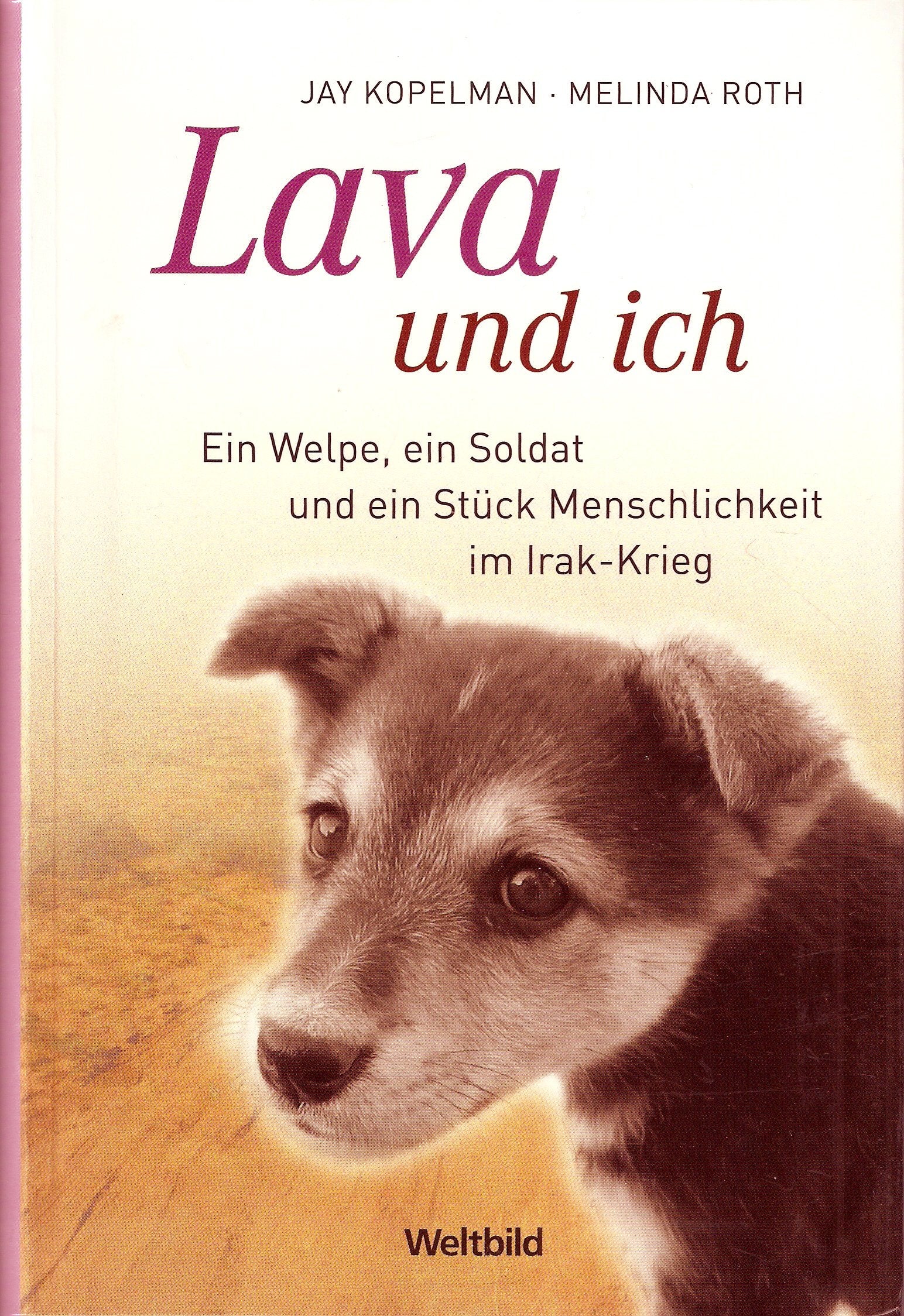 Lava und ich: Ein Welpe, ein Soldat und ein Stück Menschlichkeit im Irak-Krieg Science