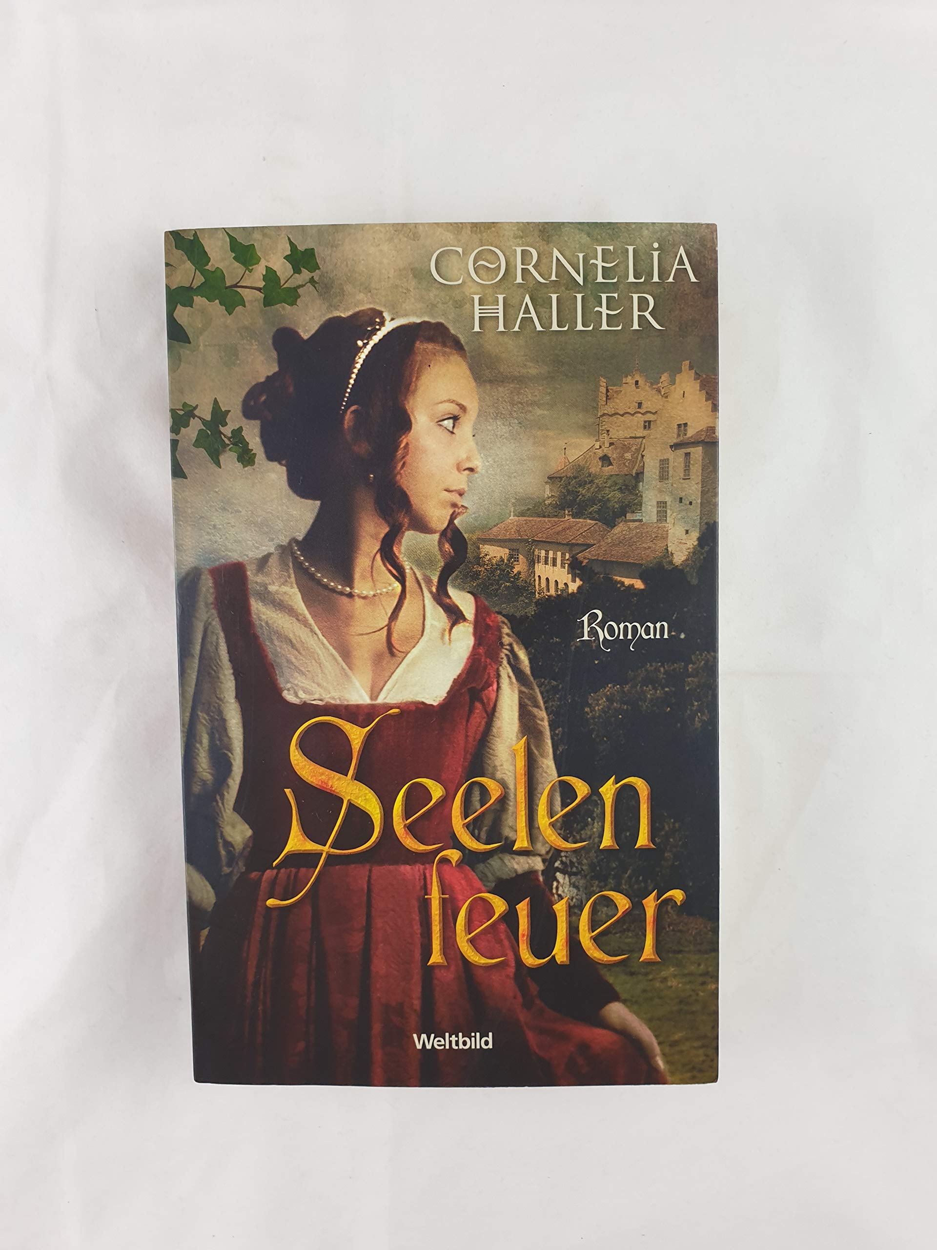 Seelenfeuer : historischer Roman (sg5s) Contemporary literature