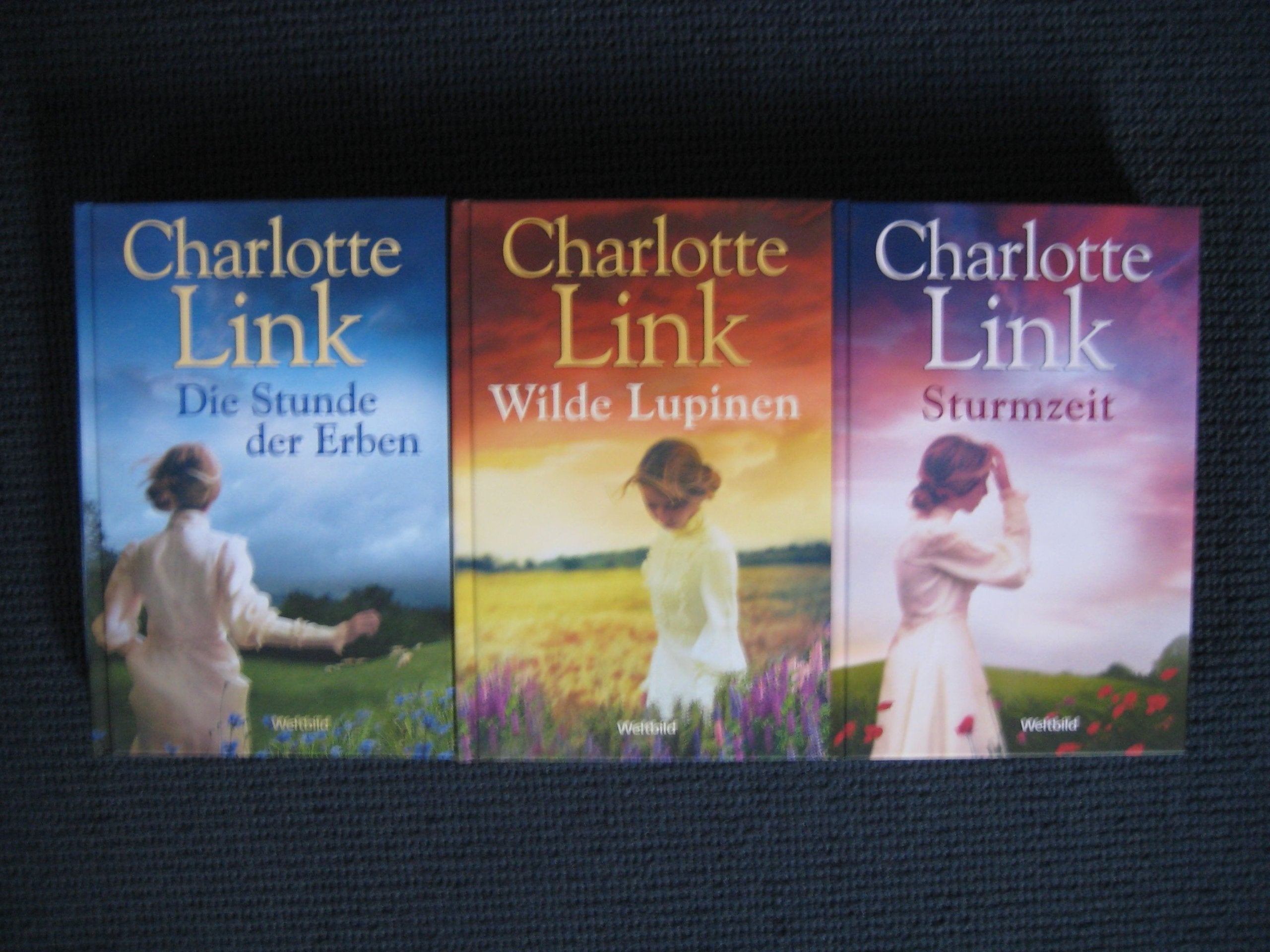 Sturmzeit-Trilogie - Sturmzeit - Wilde Lupinen - Die Stunde der Erben - 3 Bücher Books