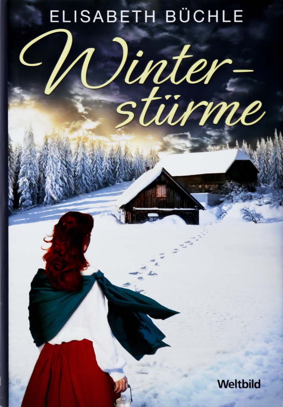 Winterstürme. Roman. Books