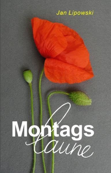 Montagslaune: Geschichten für anhaltend gute Laune (Kurzgeschichten) book