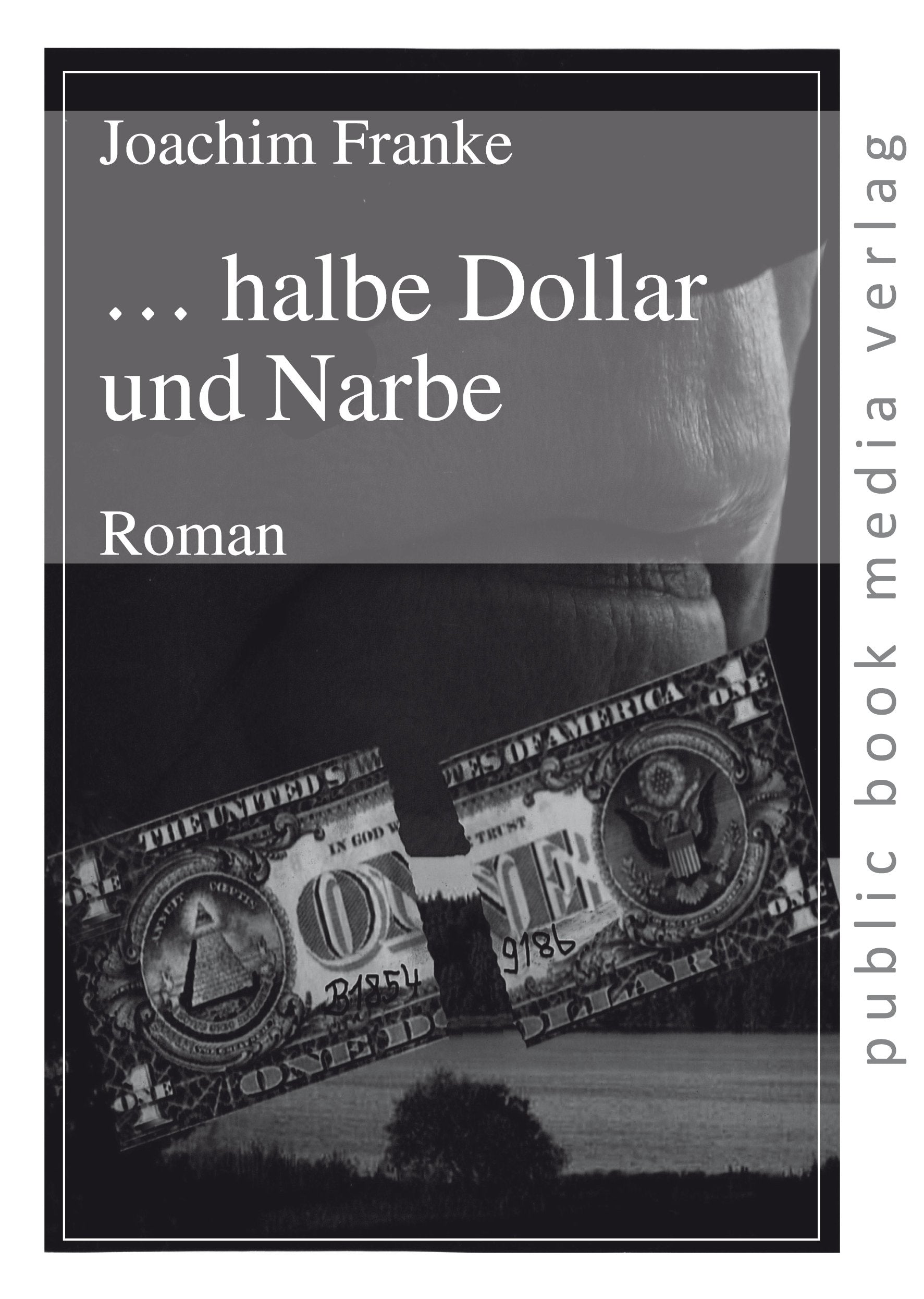 ... halbe Dollar und Narbe. Roman (public book media verlag) Contemporary literature