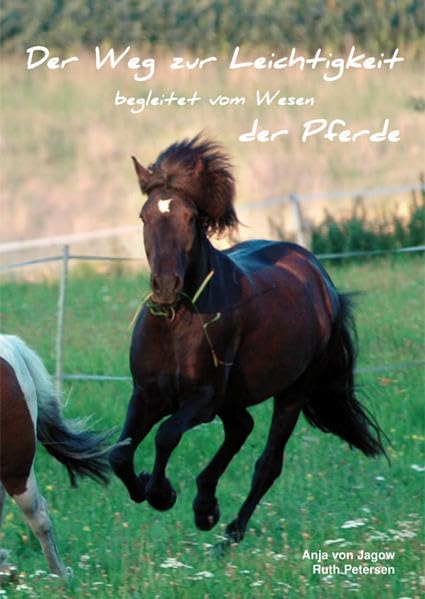 Der Weg zur Leichtigkeit begleitet vom Wesen der Pferde Psychology