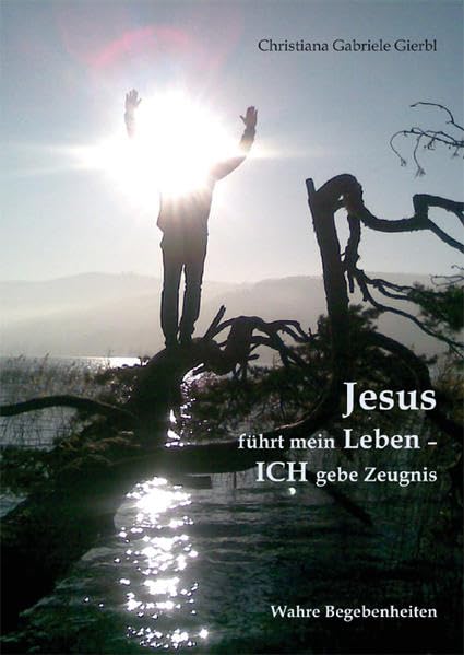 Jesus führt mein Leben - ICH gebe Zeugnis book