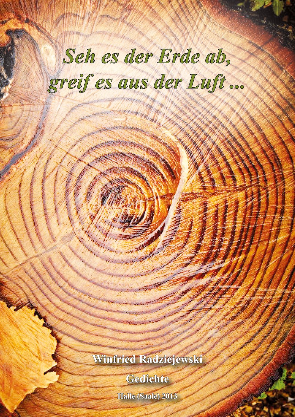 Seh es der Erde ab, greif es aus der Luft ...: Gedichte Poetry