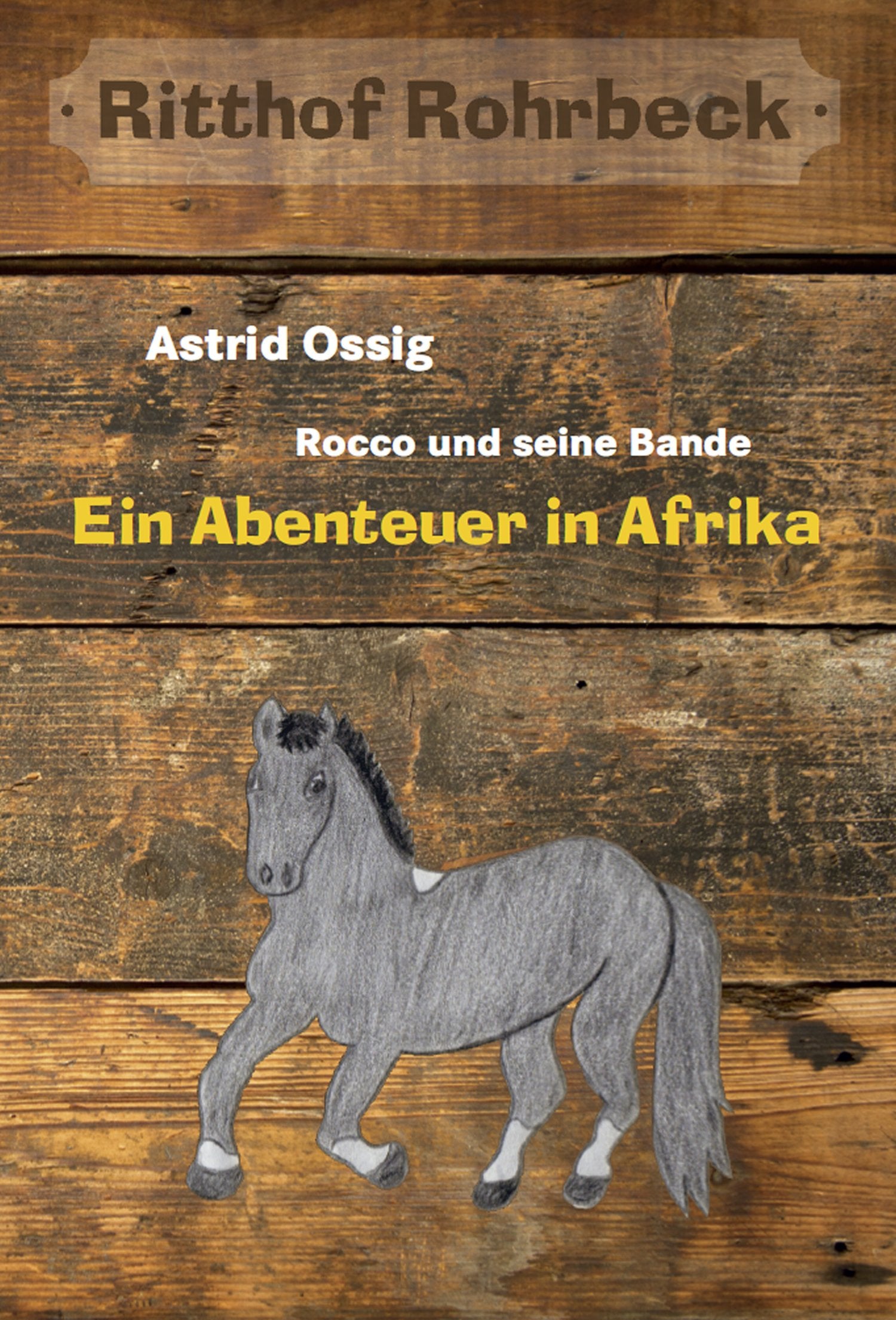 Rocco und seine Bande vom Ritthof Rohrbeck - Band 1: Ein Abenteuer in Afrika Novels & Short Stories