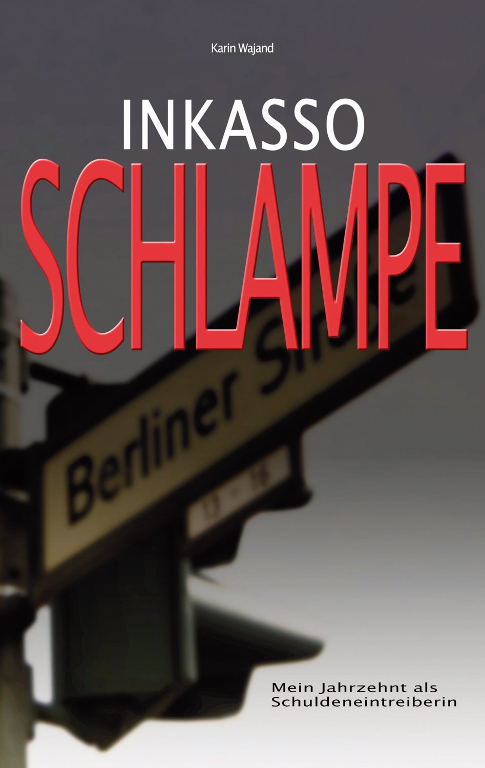 Inkassoschlampe Contemporary literature Books