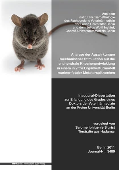 Analyse der Auswirkungen mechanischer Stimulation auf die enchondrale Knochenentwicklung in einem in vitro Organkulturmodell muriner fetaler Metatarsalknochen Medicine