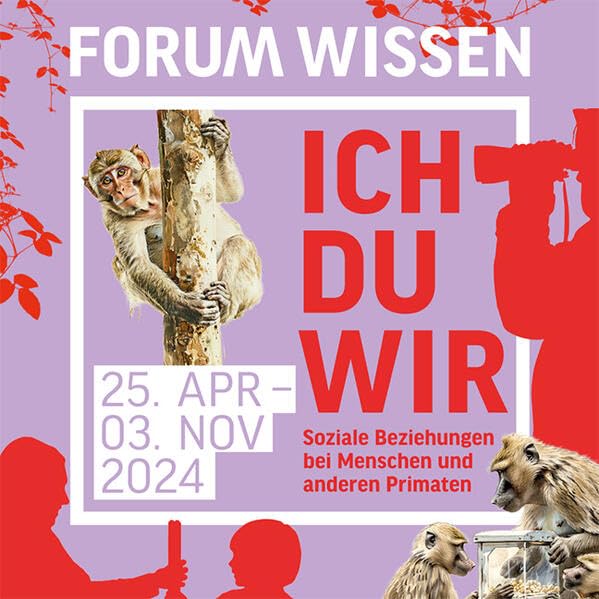 Ich-Du-Wir: Soziale Beziehungen bei Menschen und anderen Primaten Natural Sciences