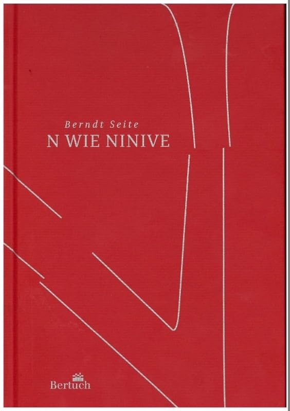 N wie Ninive: drei Erzählungen Contemporary literature