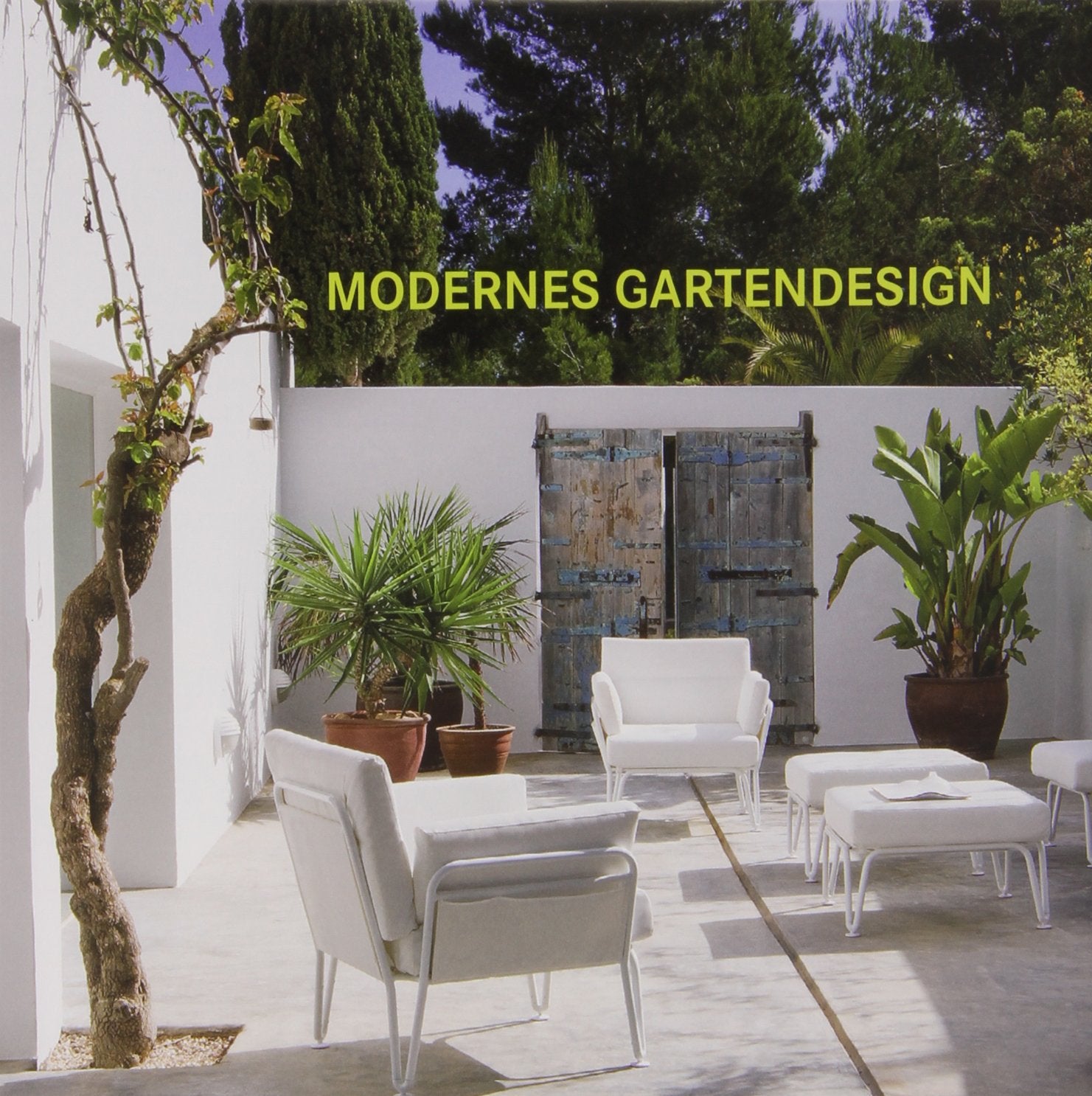 Modernes Gartendesign Garden & Plants