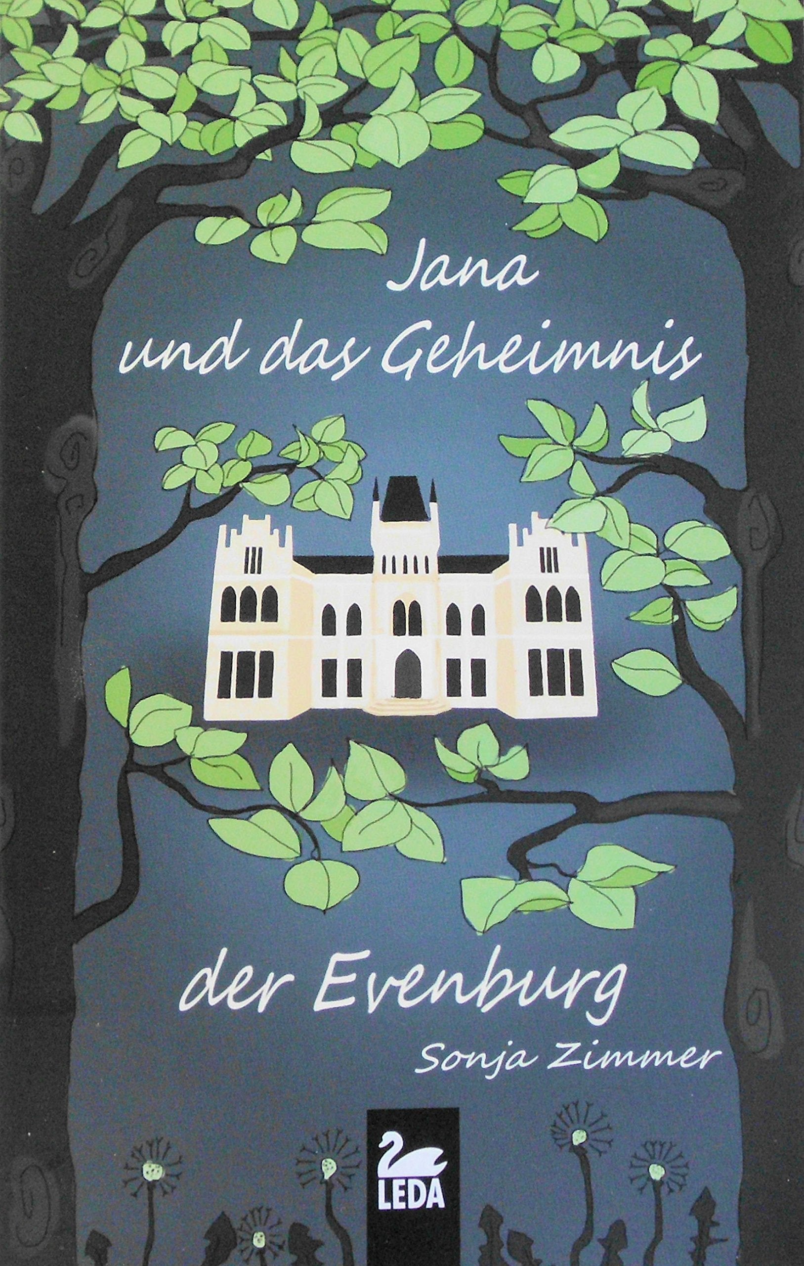 Jana und das Geheimnis der Evenburg Non-fiction